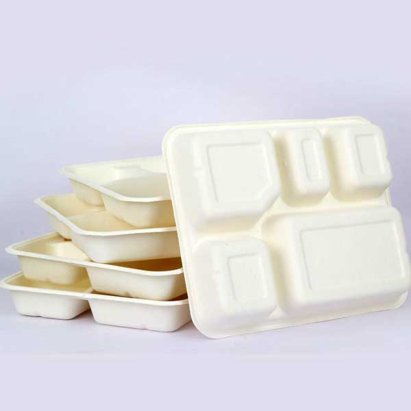 5 CP Biodegradable Plate